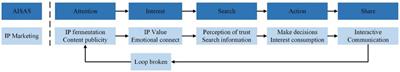 Exploring how IP marketing (media marketing) influences consumer shopping psychology through quantitative and empirical analysis